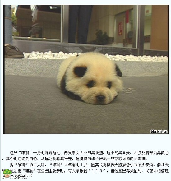 分享图片