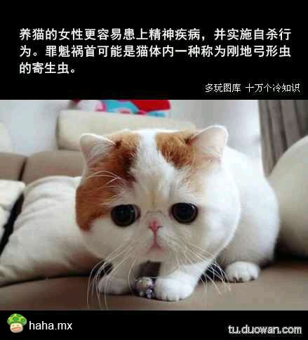 分享图片