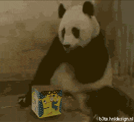 坑爹哟，吓死鸟