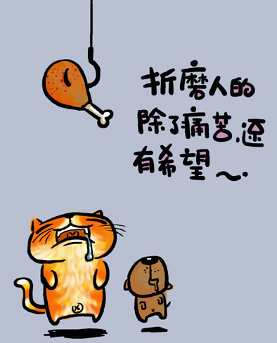 折磨人的除了痛苦还有希望