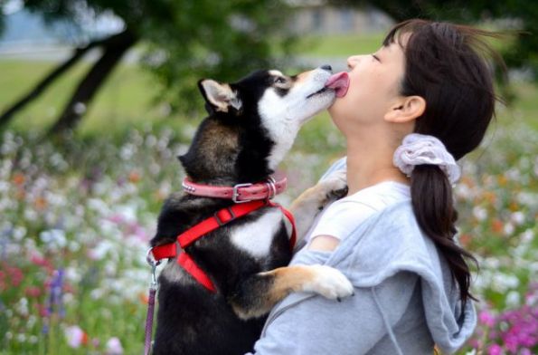 这样疯狂的人狗热吻，你见过吗