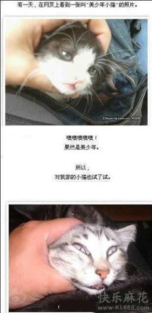 猫比猫，气死人！