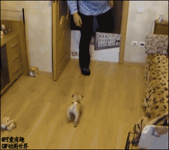爸爸回来了