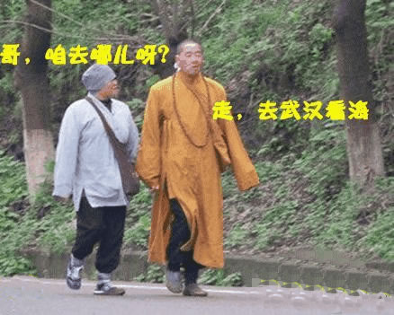 咱去武汉看海去