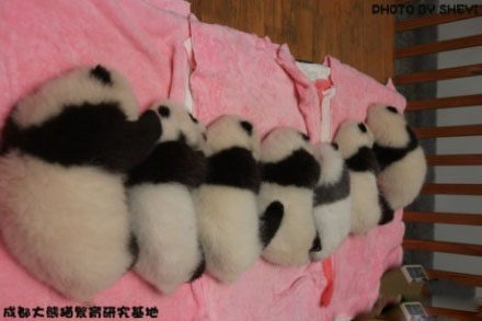 连睡觉都这么整齐