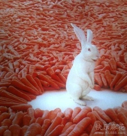 幸福来得那么突然！！！