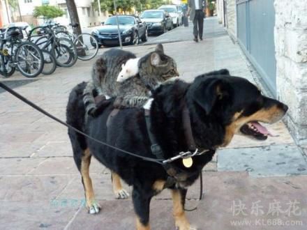 多么和谐的一家三口逛街