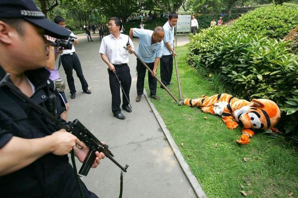 碰到这样的应该肿么办啊