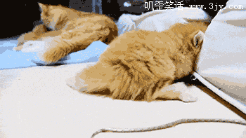 我要钻进去