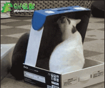 不让你出来