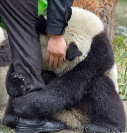 真的不要离开我