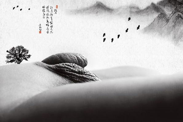看看这样的作品，太给力了
