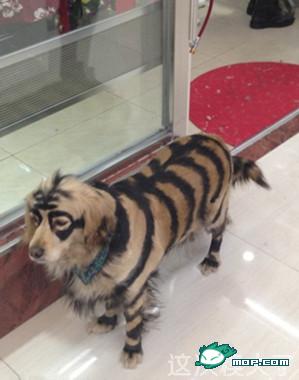 看看我的新发型
