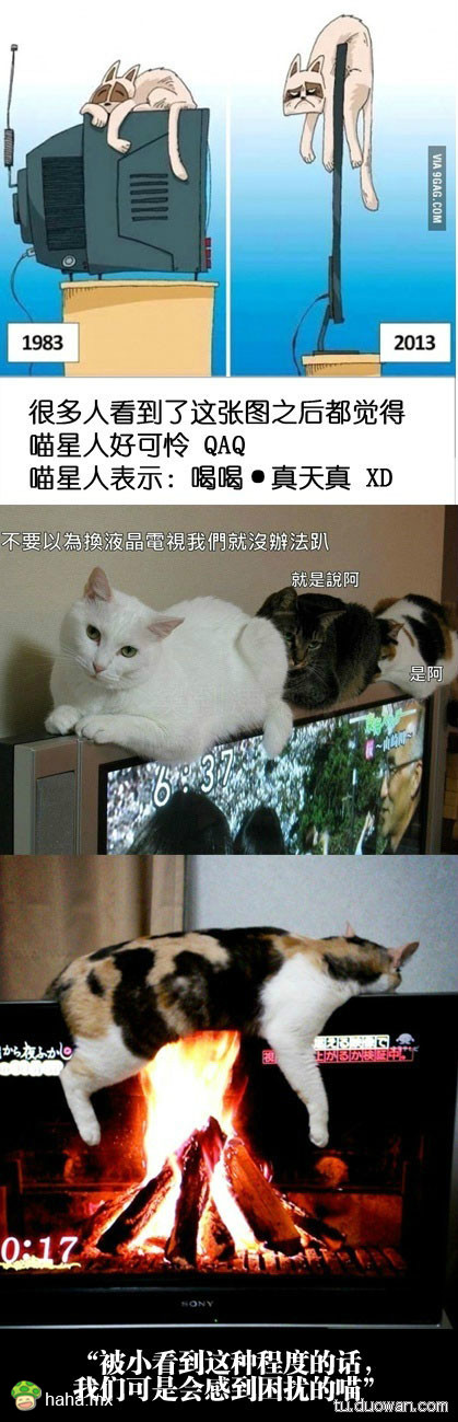 分享图片