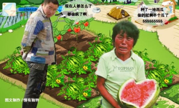 疯狂的偷菜生活
