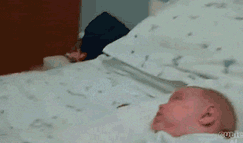 讨孩子开心的狗狗