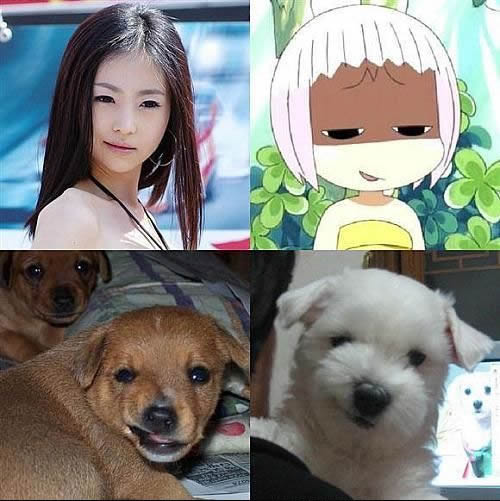 看我们像不像？