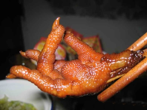 会掐指算命，会摆兰花指，这鸡爪子厉害！