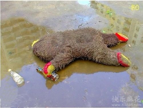刚才谁TM踩我