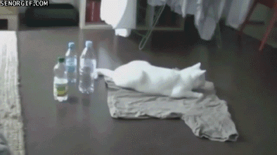 吓死了