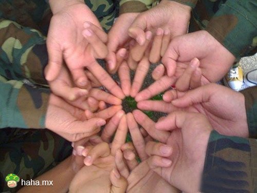 分享图片