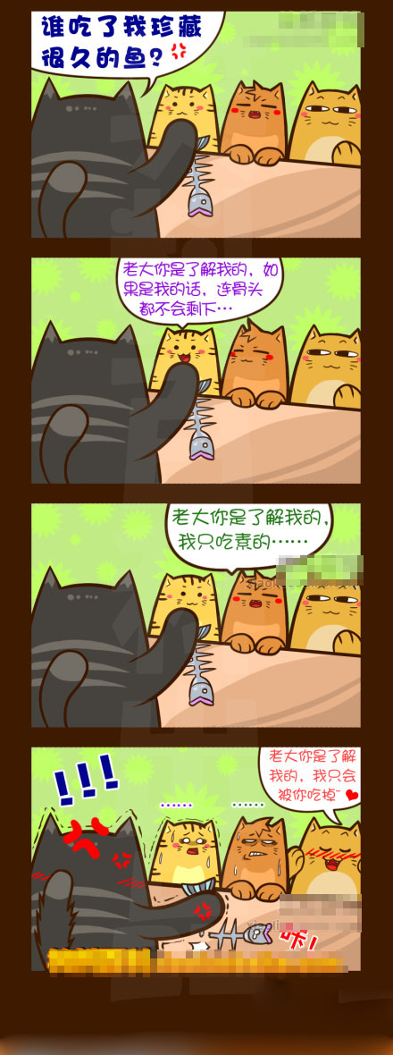 这三只猫又在卖萌了