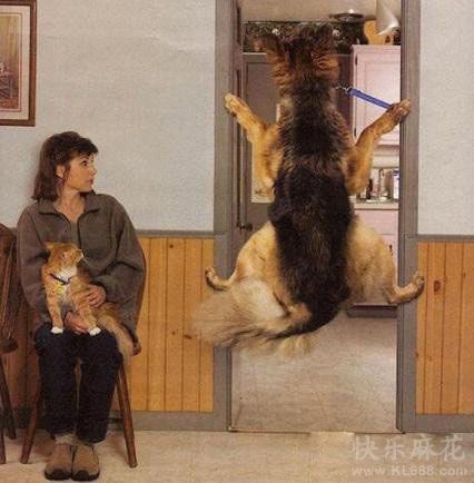 我不要打针啦