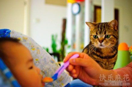 主人，就不能给我吃一口么