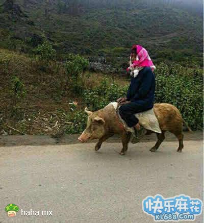分享图片