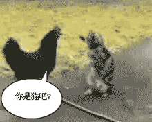 你丫骂谁呢？