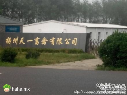 这是什么禽兽公司？