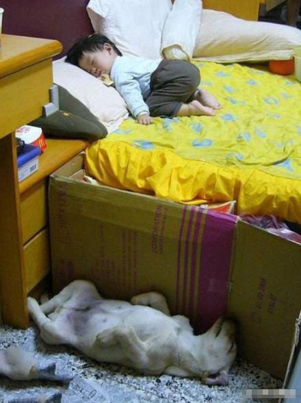该趴着的不趴，该躺着的不躺