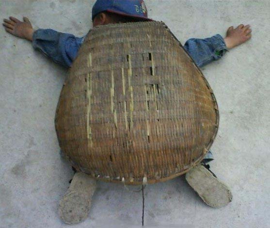 爬行动物新物种