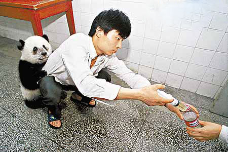 求求你别给我打了