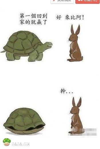 龟兔赛跑