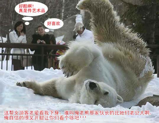对自己的JJ超级自信的动物