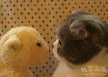 看啥呀！?]见过胖子长得这么帅吗？