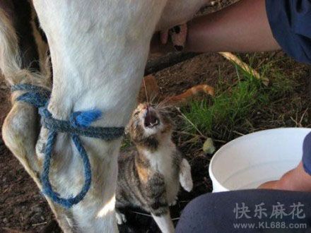 还是新鲜的好