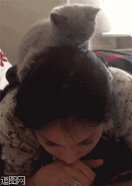 卖萌的喵星人