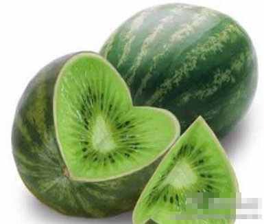 谁能告诉我这是个什么品种