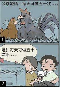 男同胞你学公鸡了么？