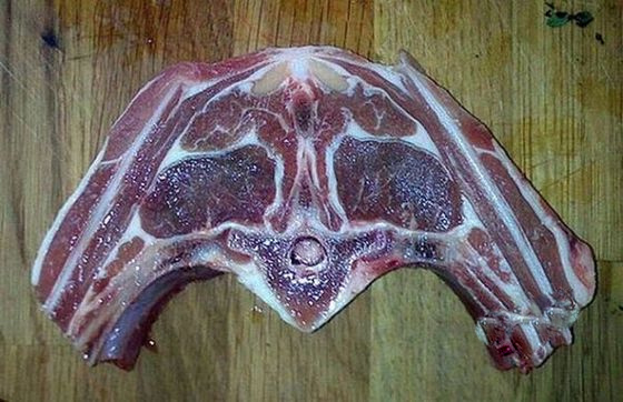 这是猪的肉还是狗的肉