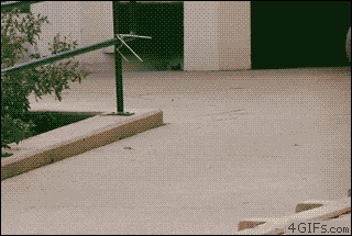 猪一样的队友