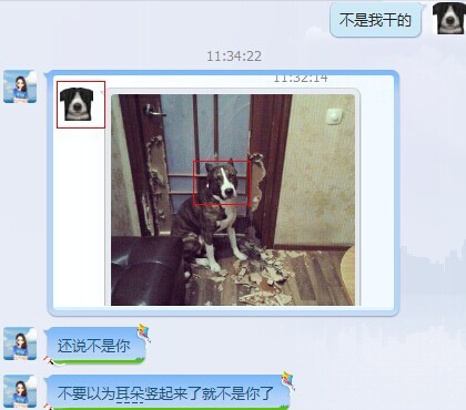 再不给二货媳妇儿分享笑话了-原帖首发勿抄