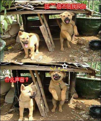 哎呦，好疼呀