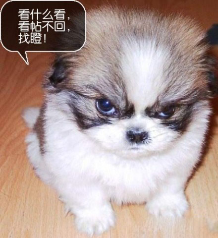 看什么看，我正生气呢