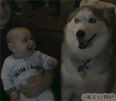哎呀妈，哈哈哈哈，这货长的太2了