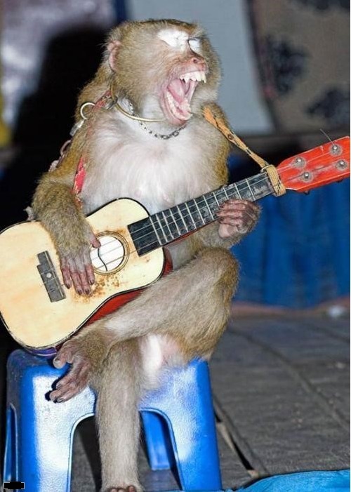 Wewillwewillrockyou