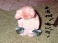 老婆，偶错了
