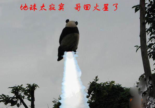 喷气式熊猫回火星了咯